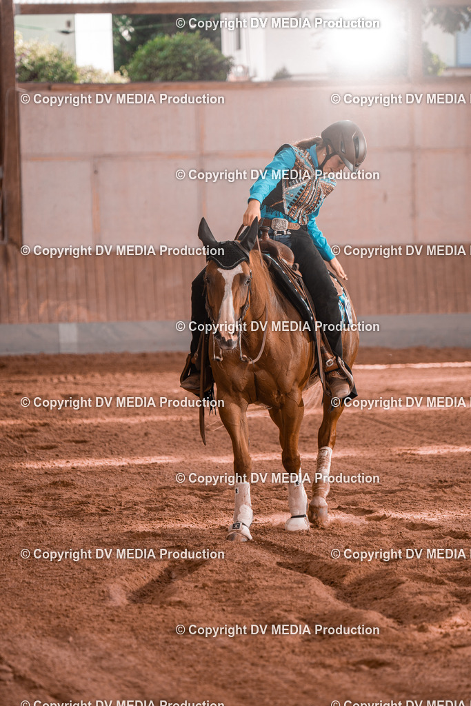 NE201152 | dv-media-shop - Realisiert mit Pictrs.com