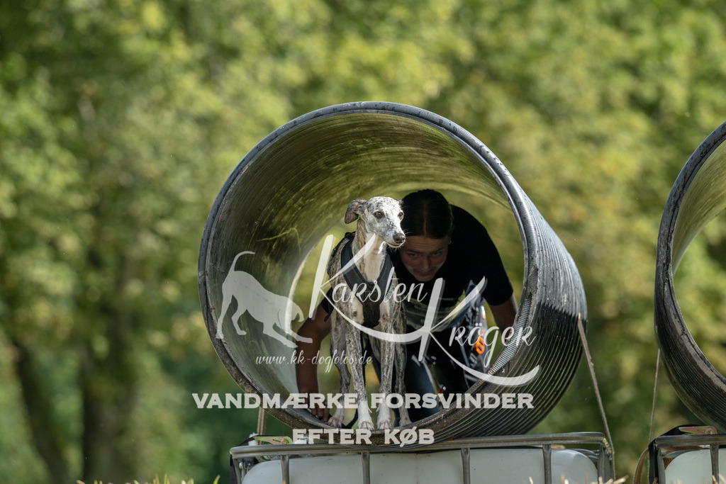 1121_ZZ93933 | kk-dogfotos