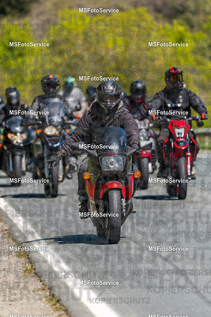 MSFotoServiceXXX151 | MSFotoService - Realisiert mit Pictrs.com