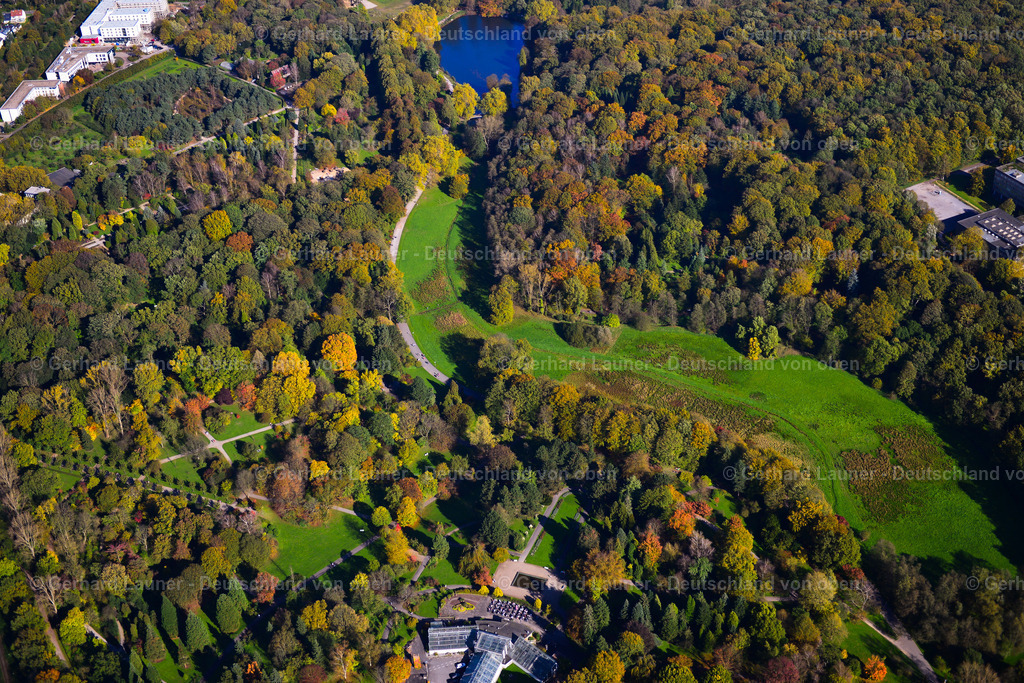 3491545 | Rombergpark, Dortmund