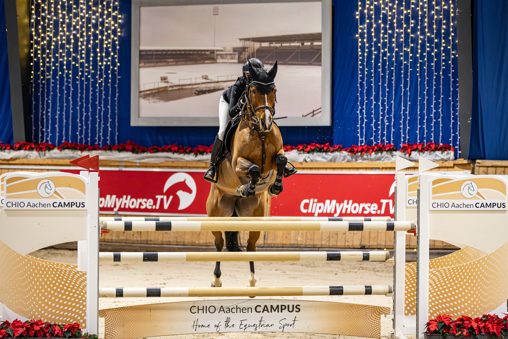 126A7901 | jasminmetznerfotografie