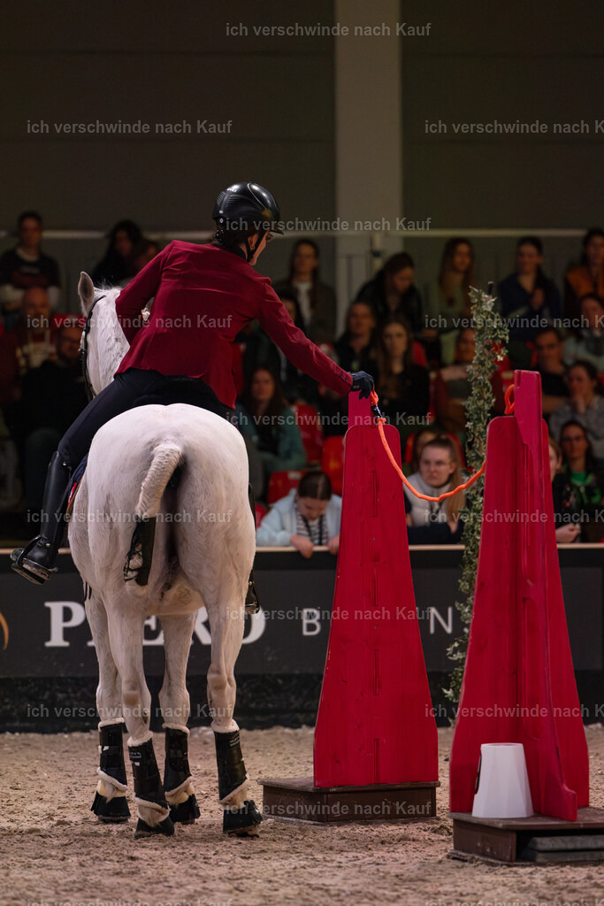 JoseraCup-199 | working equitationturnier fotograf videograf stoibphotography marixx film working equitation deutschland reitsport turnierfotografie eventfotografie equestrian events