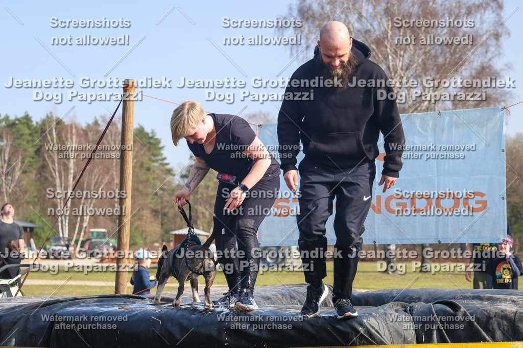 Dog Paparazzi - Strongdog North Mrz26-2110 | Dog Paparazzi Jeanette Grottendiek Fotografie & Videografie - Realisiert mit Pictrs.com