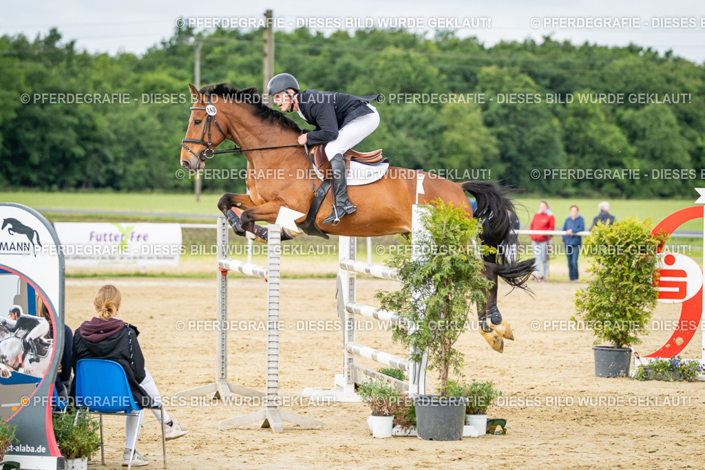 DSC06612 | Pferdegrafie