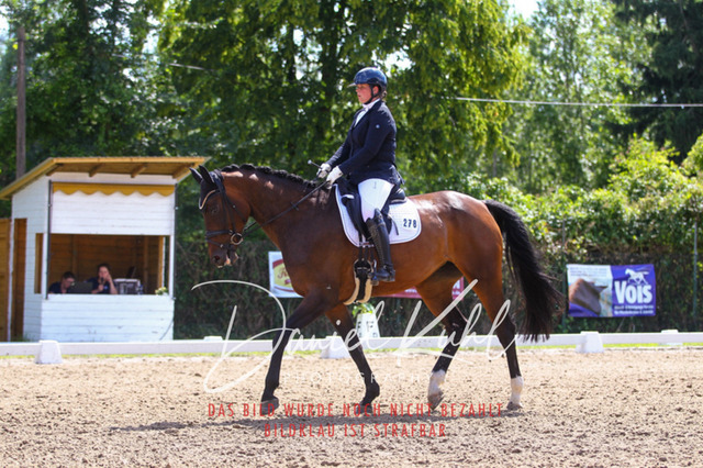 DKP42630 | Turniersportfotografie; Pferdefotografie; Dressurfotografie