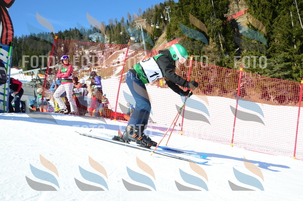 C5885 | holidayphoto