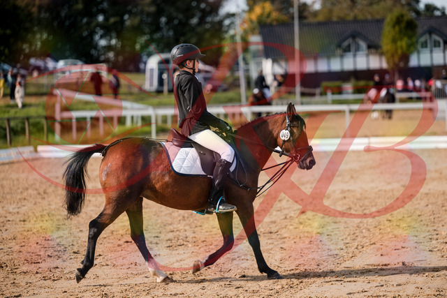 2026_10_03_Siefer-Hof_122020_Z63_42856541 | Professionelle Reitsport-, Turnier- und Eventfotografie von Robert Broda. Galerien mit ausgewählten und bearbeiteten Bildern direkt online ansehen und bestellen.