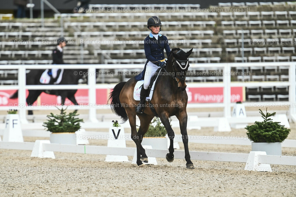 20230512_CCI4_Dressur_0415 | equistock