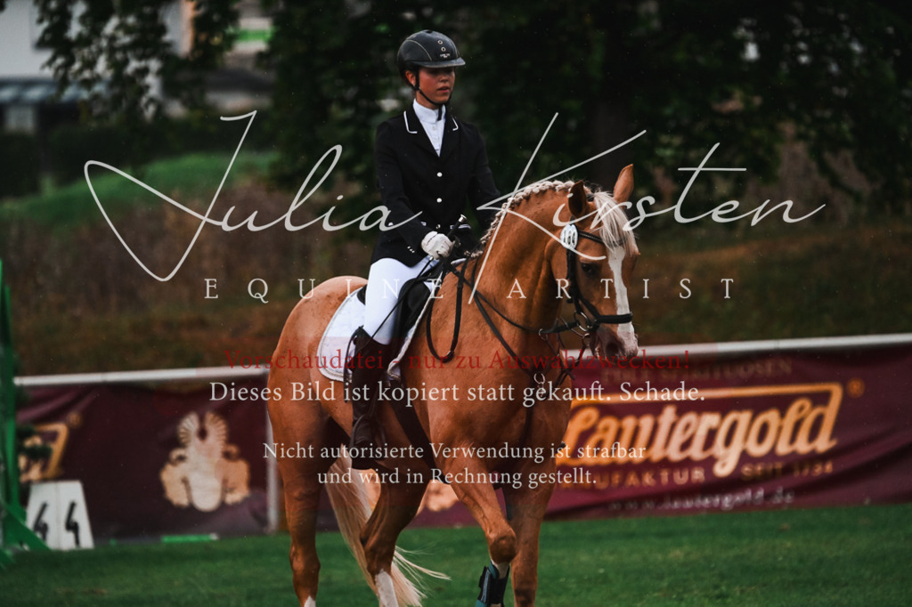 DSC_6119 | Pferde- und Turnierfotografie in Westsachsen. Pferdeportraits, Auftragszeichnungen und intuitive Kunst.