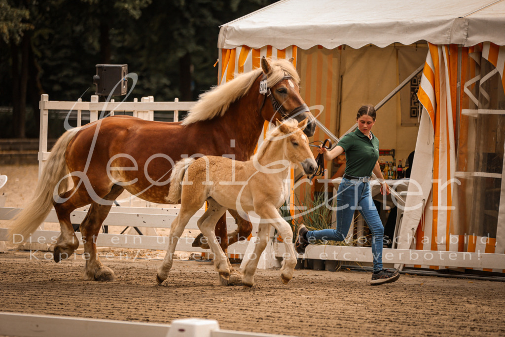 SaSF00008 | Leoni Ertmer Photography - Realisiert mit Pictrs.com