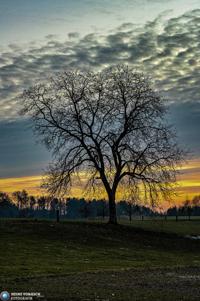 Landschaften_0022 | Alle Bilder von Heinz Vonäsch Fotografie können alle zu günstigen Preisen gekauft werden! Download der Bilder, Ausdrucke, Postkarten, Tassen T-Shirts, Kalender, Alu- Dibond usw. - Realisiert mit Pictrs.com