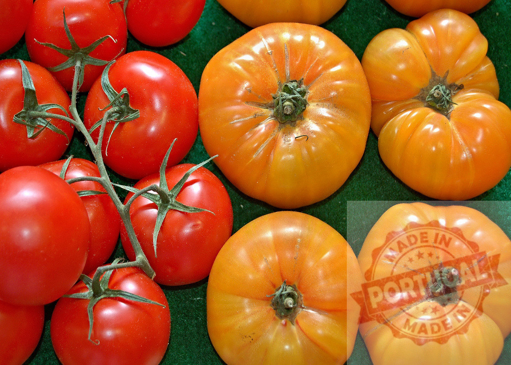 Ripening red and orange heirloom tomatoes on display | Freshly picked red and orange heirloom tomatoes resting on a green background - Realized with Pictrs.com