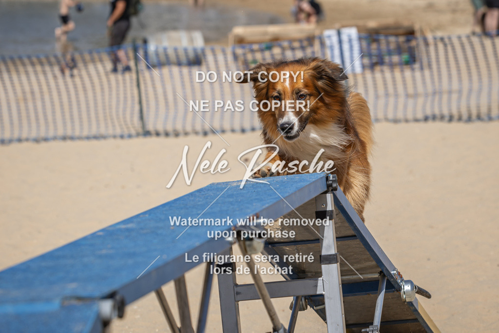 nelerasche_saBeachility_412 | nelerasche