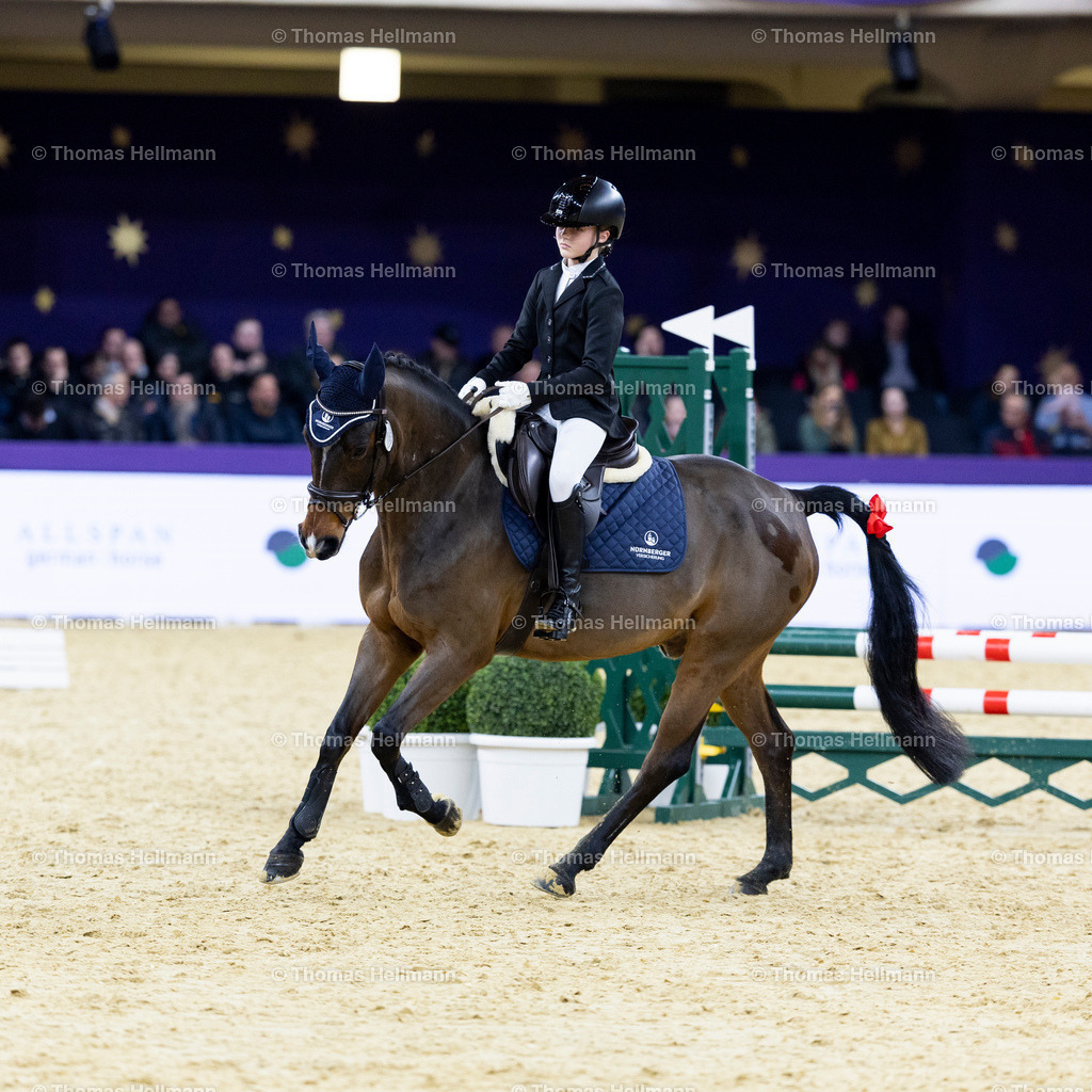 TH_Ti-Amor van_t Daelderhof_ Tiara Kramer_23177 | Ti-Amor van`t Daelderhof, Tiara Kramer beim Festhallen Reitturnier Frankfurt 2024 am 19.12.24 in Frankfurt, Festhalle