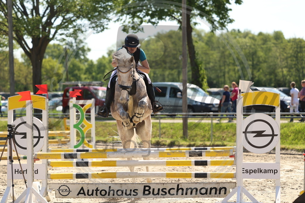 994A5681 | sabrinanicolaifotografie - Realisiert mit Pictrs.com