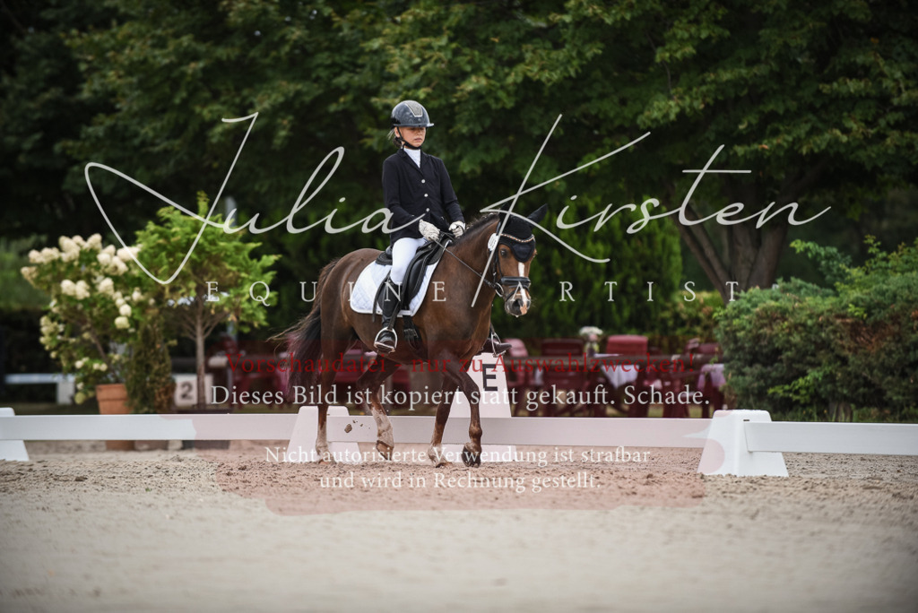 DSC_8150 | Pferde- und Turnierfotografie in Westsachsen. Pferdeportraits, Auftragszeichnungen und intuitive Kunst.