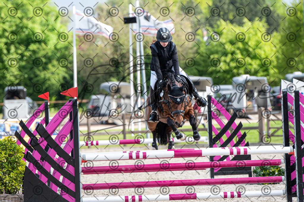 KPT_8044 | andre_photographic