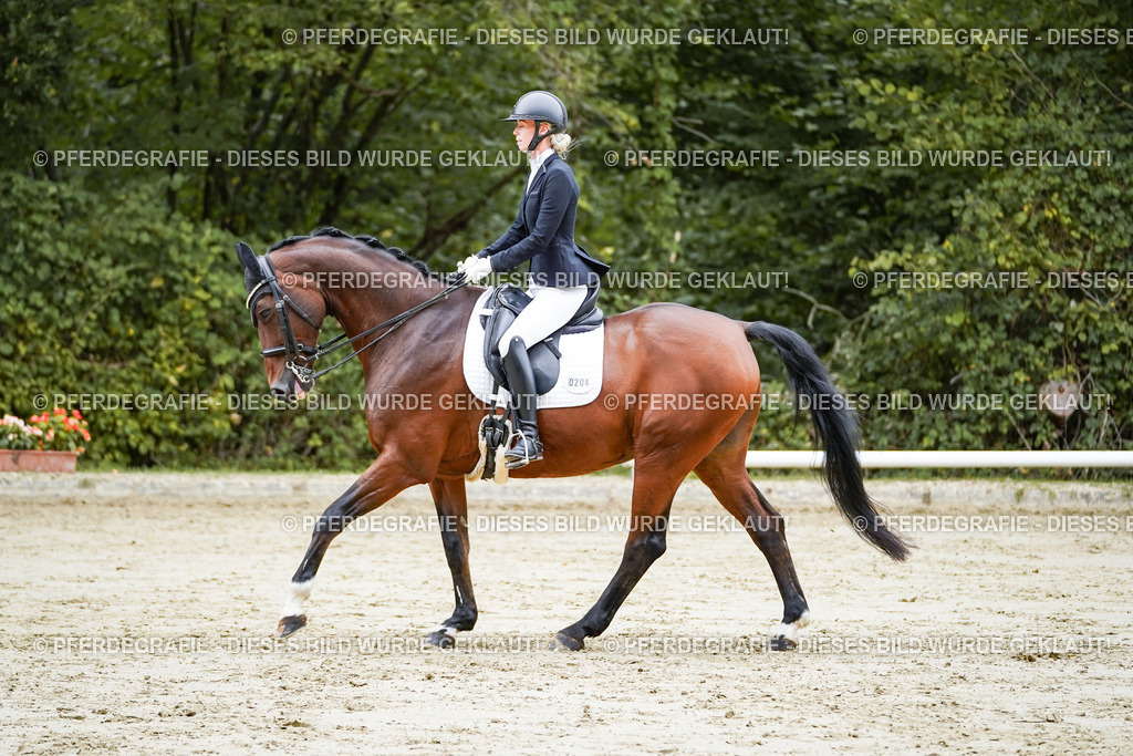 DSC09307 | Pferdegrafie