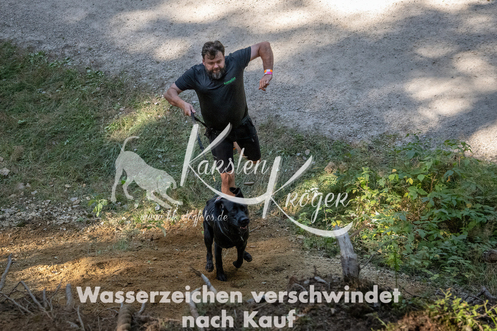 1240_ZZ94778 | kk-dogfotos