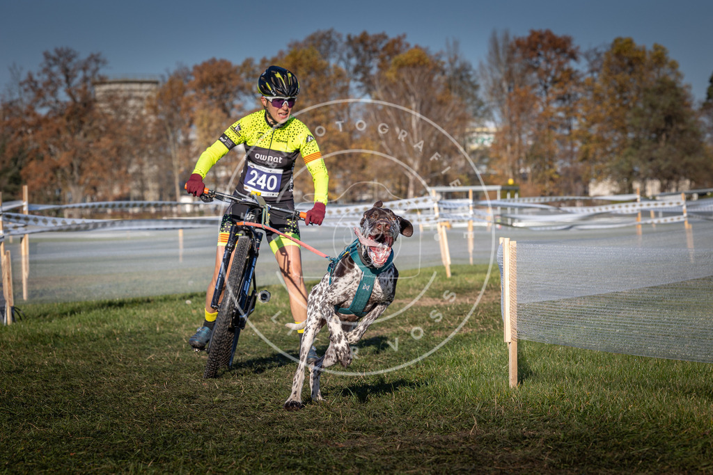 CaniXpix_0L8A4836 | Hundefotografie, Tierfotograf, Pfotenfotografie, Fotoshooting Hund, Hunde Portrait, Hundesport, Hundeportraits, Heideshooting, Hunde, Sportfotograf, Hundefotograf, Turnierhundsport, THS,  - Realisiert mit Pictrs.com
