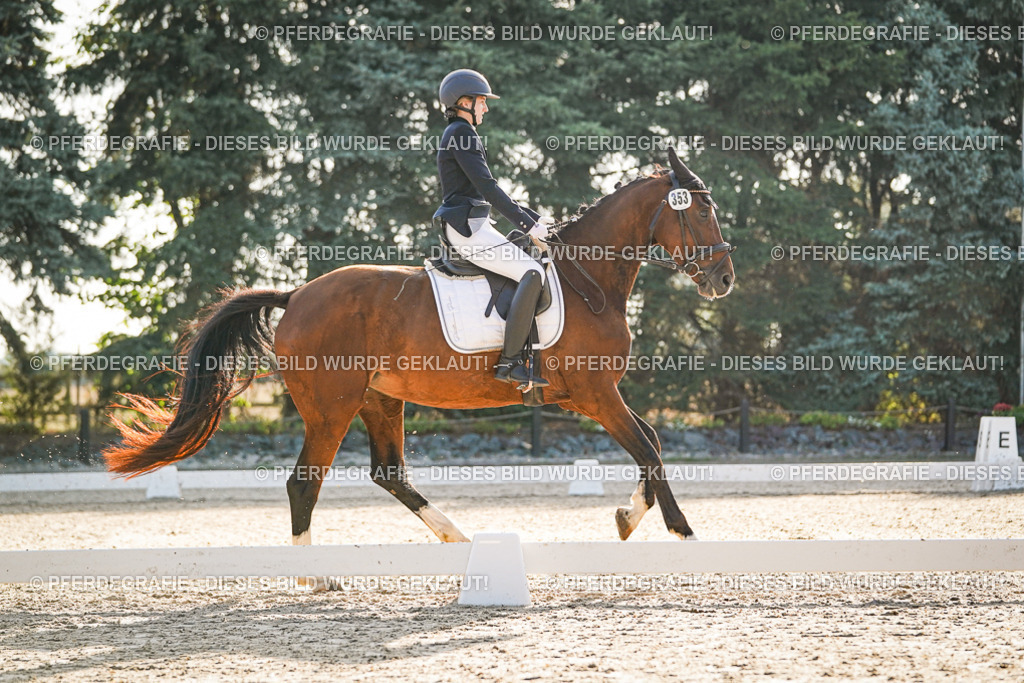 DSC07903 | Pferdegrafie