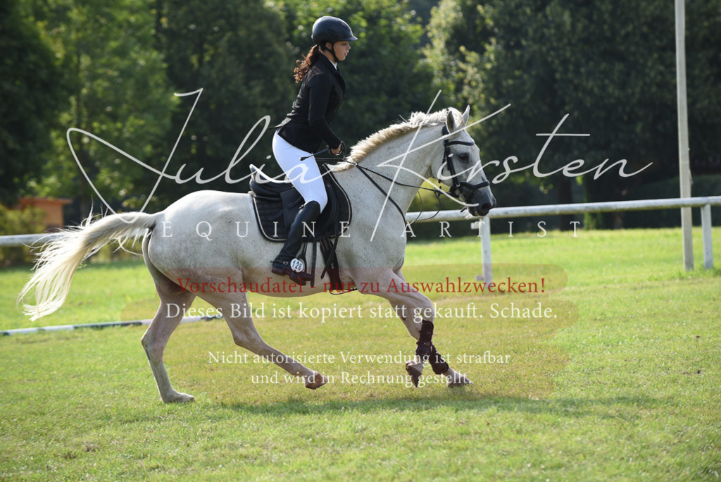 DSC_8912 | Pferde- und Turnierfotografie in Westsachsen. Pferdeportraits, Auftragszeichnungen und intuitive Kunst.