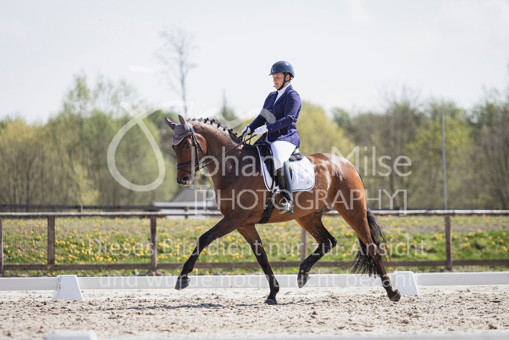 250416_Dressurpferde-L-236 | Deine schönsten Turniermomente als professionelle Fotos! Entdecke hochwertige Pferdesport-Fotografie im Online-Shop. Jetzt Fotos finden & bestellen!