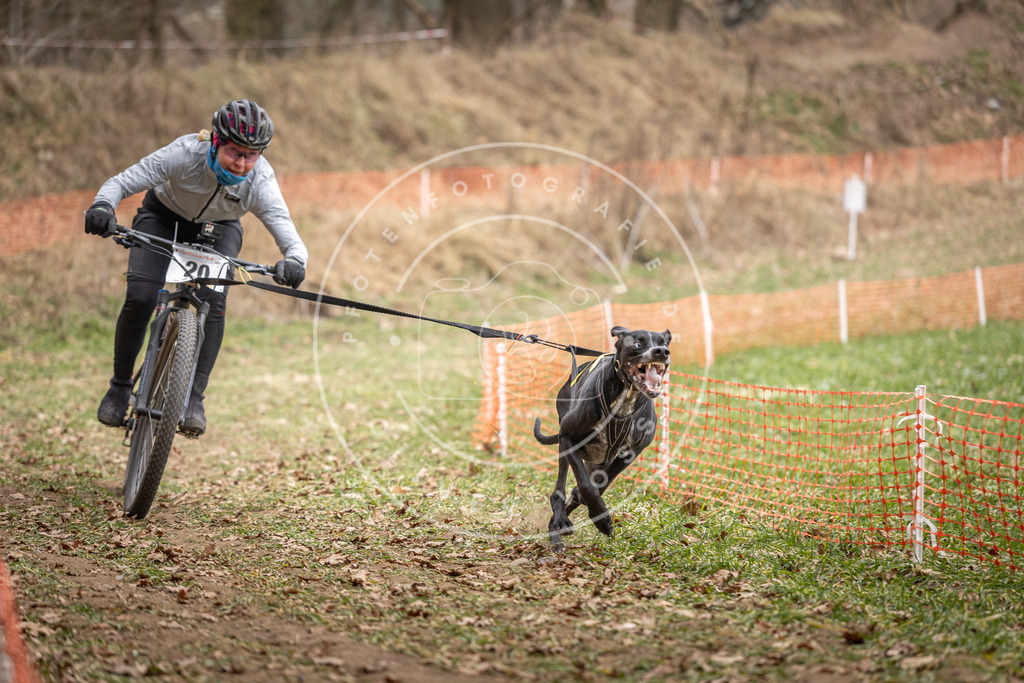 Pfotenfotografie_DV3A7168 | Hundefotografie, Tierfotograf, Pfotenfotografie, Fotoshooting Hund, Hunde Portrait, Hundesport, Hundeportraits, Heideshooting, Hunde, Sportfotograf, Hundefotograf, Turnierhundsport, THS,  - Realisiert mit Pictrs.com