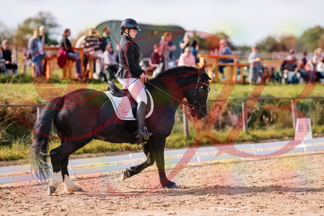 2026_10_03_Siefer-Hof_120700_Z81_08372978 | Professionelle Reitsport-, Turnier- und Eventfotografie von Robert Broda. Galerien mit ausgewählten und bearbeiteten Bildern direkt online ansehen und bestellen.