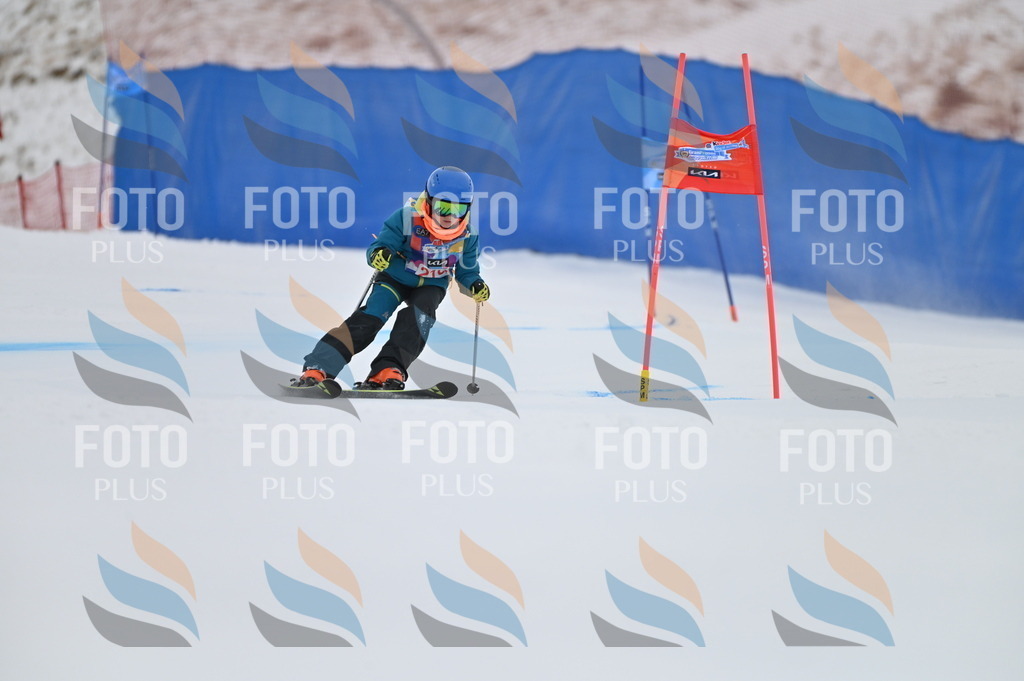 BGV_2378 | holidayphoto