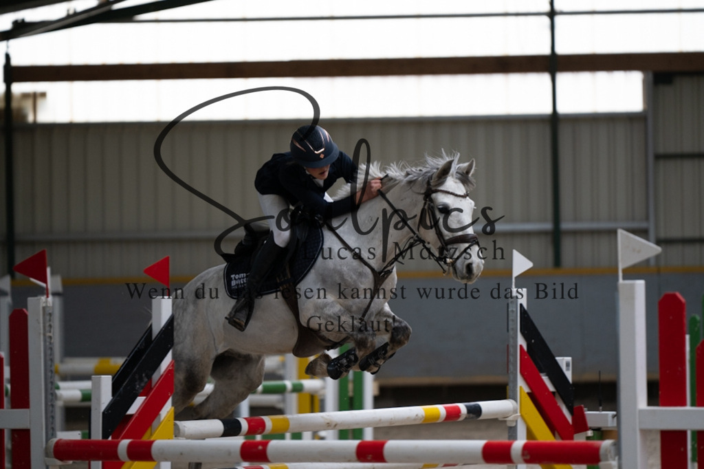 A7V07328 | Pferdefotograf