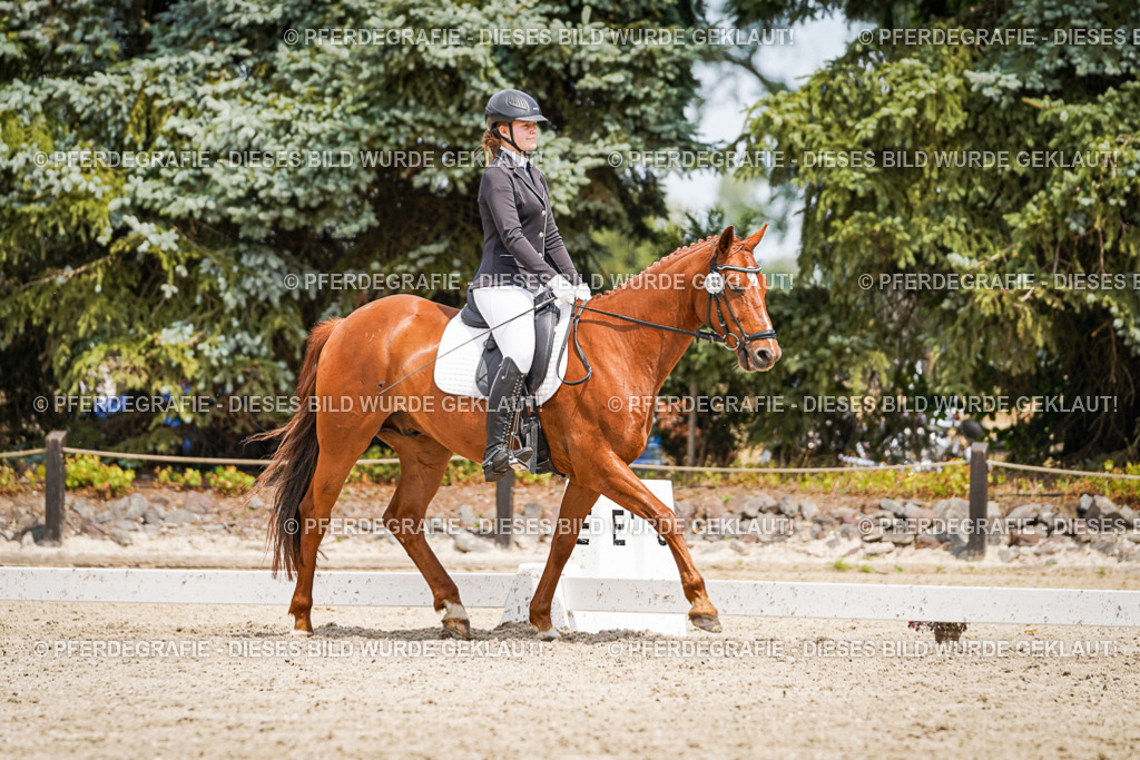 DSC03667 | Pferdegrafie