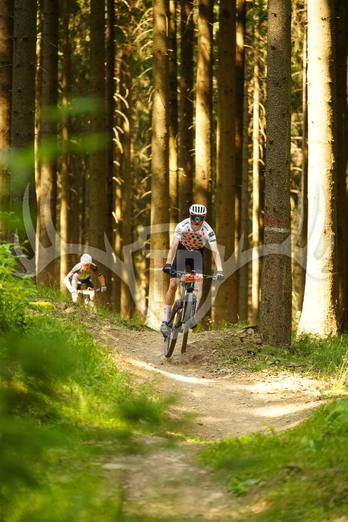 FC102693 | Fotogalerie der Treibjagd im Dunkelwald - Dein MTB Etappenrennen im Erzgebirge - Realisiert mit Pictrs.com