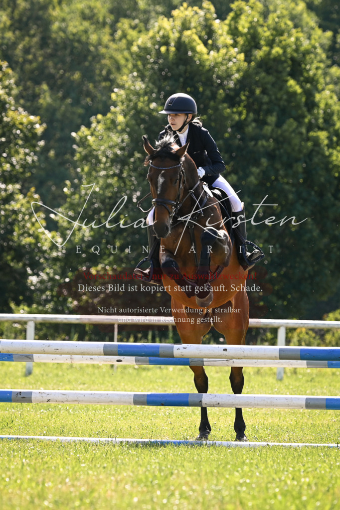 DSC_8698 | Pferde- und Turnierfotografie in Westsachsen. Pferdeportraits, Auftragszeichnungen und intuitive Kunst.