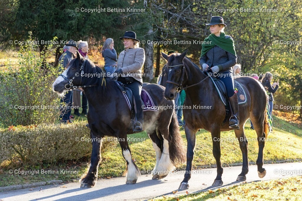 LL24-207 | foto-bettina-krinner - Realisiert mit Pictrs.com