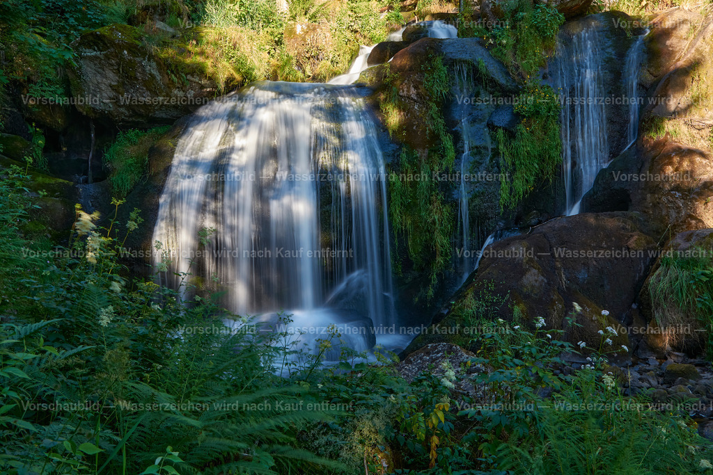 Triberger Wasserfall | im Schwarzwald - Realisiert mit Pictrs.com