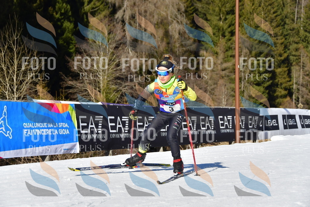 _DSC8603 | holidayphoto