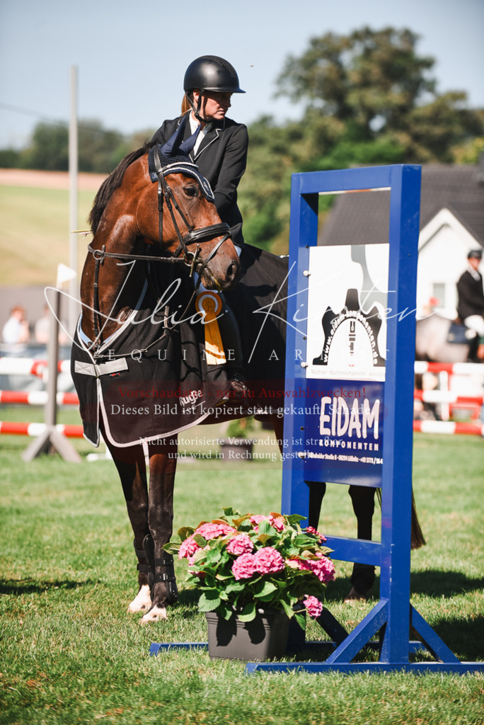 DSC_2621 | Pferde- und Turnierfotografie in Westsachsen. Pferdeportraits, Auftragszeichnungen und intuitive Kunst.