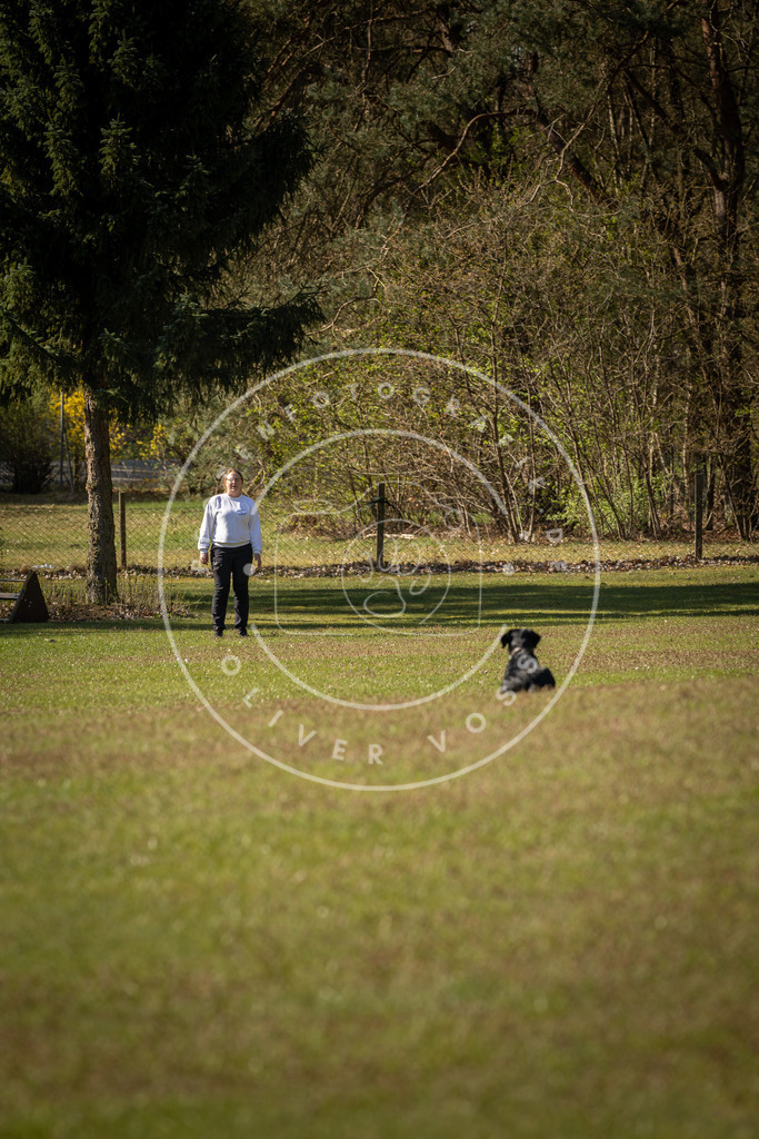 Pfotenfotografie_DV3A0251 | Hundefotografie, Tierfotograf, Pfotenfotografie, Fotoshooting Hund, Hunde Portrait, Hundesport, Hundeportraits, Heideshooting, Hunde, Sportfotograf, Hundefotograf, Turnierhundsport, THS,  - Realisiert mit Pictrs.com