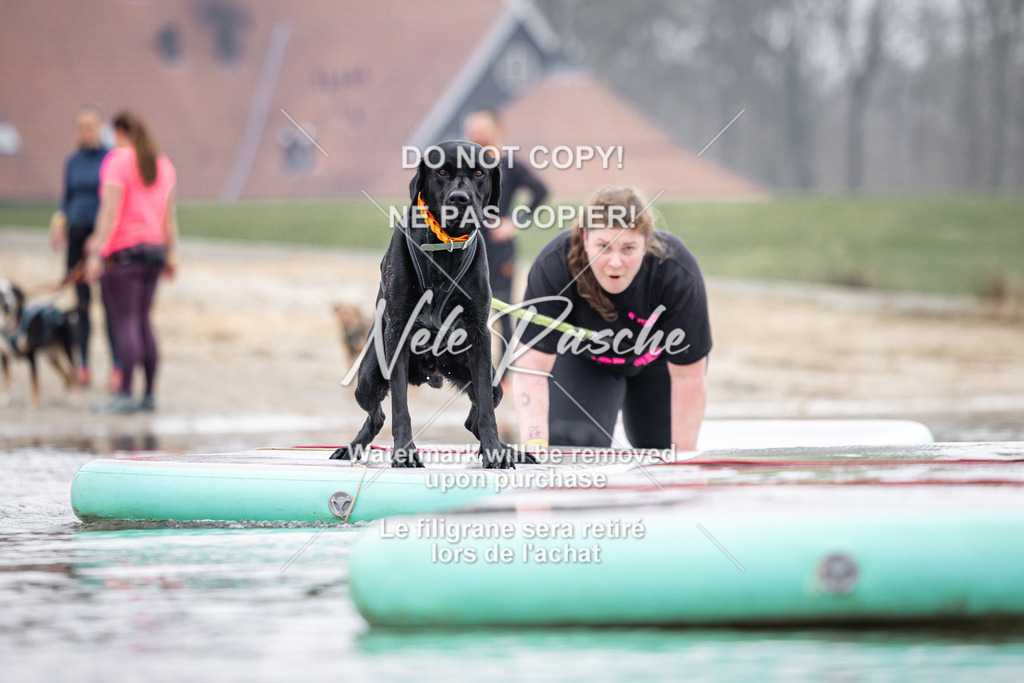 nelerasche_Hulsbeek_Sa1100-1130_303 | nelerasche