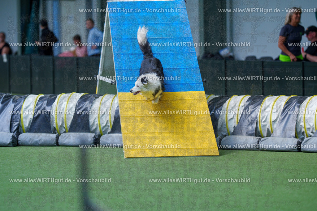 @allesWIRTHgut_Tierfotografie - www.allesWIRTHgut.de - 2604251435-7R505076 | Professionelle Tierfotografie in Mönchengladbach von Daniel Wirth (allesWIRTHgut). Liebevolle & natürliche Bilder von Hunden & Katzen für unvergessliche Erinnerungen.