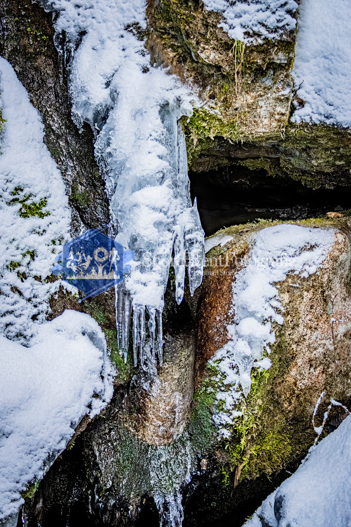 IMAG7825 | SportEventFotografie - Roman Stoiber