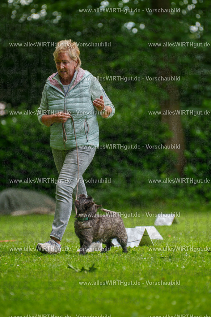 @allesWIRTHgut_Tierfotografie - www.allesWIRTHgut.de - 130032-7R509666 | Professionelle Tierfotografie in Mönchengladbach von Daniel Wirth (allesWIRTHgut). Liebevolle & natürliche Bilder von Hunden & Katzen für unvergessliche Erinnerungen.