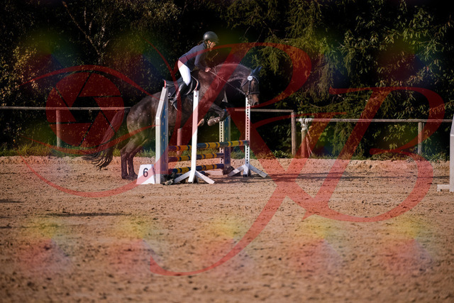 2026_10_03_Siefer-Hof_160142_Z81_82692335 | Professionelle Reitsport-, Turnier- und Eventfotografie von Robert Broda. Galerien mit ausgewählten und bearbeiteten Bildern direkt online ansehen und bestellen.