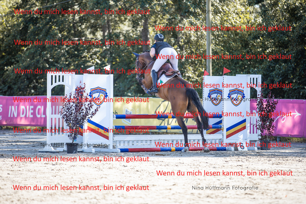 BK1A7167 | Turnierbilder Turnierfotos Nina Hüffmann Turnierfotografie Pferdefotografie Tierzeichnung Haustierzeichnung Pferdezeichnung Hundezeichnung Videograf  - Realisiert mit Pictrs.com