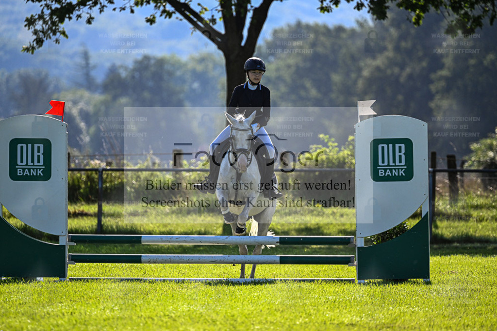 Reitturnier Hasbergen | Entdecke hochwertige Reitturnierfotos von Foto Oger. Professionell, emotional und authentisch – jetzt Lieblingsmomente im Shop bestellen. - Realisiert mit Pictrs.com