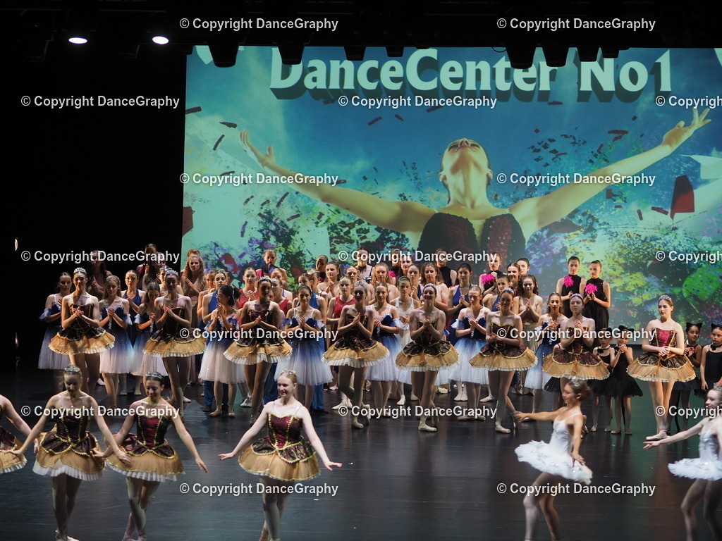 P7260486 | DanceGraphy - Realisiert mit Pictrs.com