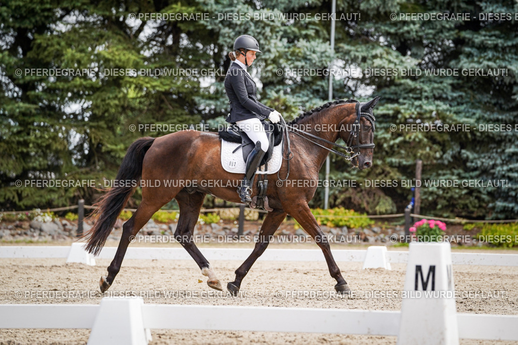 DSC03456 | Pferdegrafie