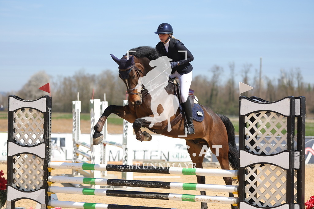 0P6A0269 | Willkommen bei Brunnmayr - Design & Fotografie – Ihrem Spezialisten für Reitturniere und Pferdeveranstaltungen in Oberösterreich, Salzburg und Bayern! Seit über 17 Jahren sind wir leidenschaftlich dabei.