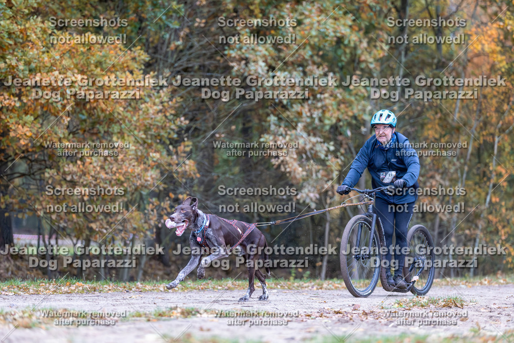 Dog Paparazzi - SD CaniX Championship 2025-13 | Dog Paparazzi Jeanette Grottendiek Fotografie & Videografie - Realisiert mit Pictrs.com